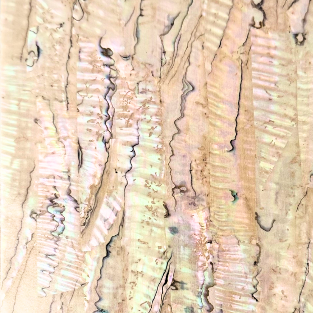 Abalone, Green AB Light Veneer, 5.5 @ seppleaf.com