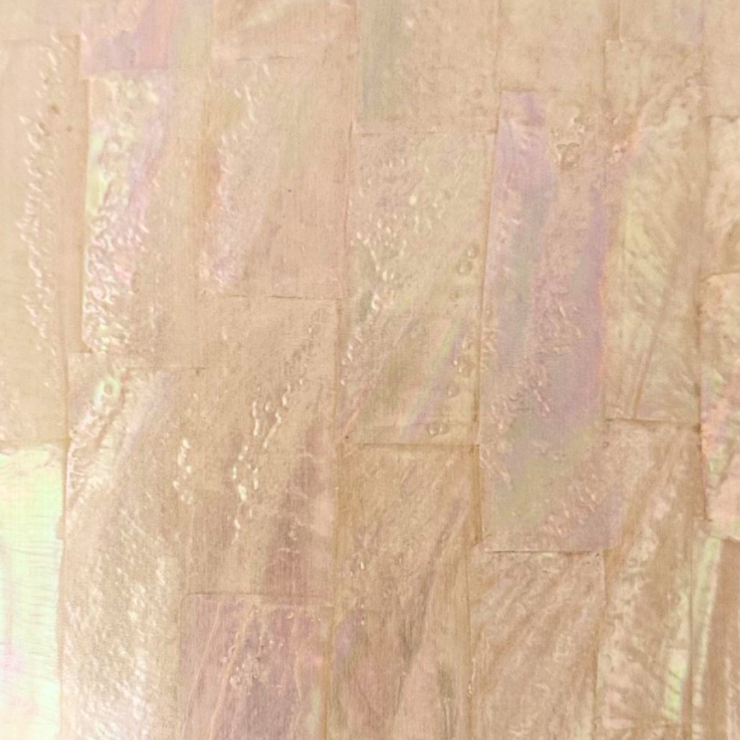 Abalone, Greenlip AB Veneer, 5.5 @ seppleaf.com