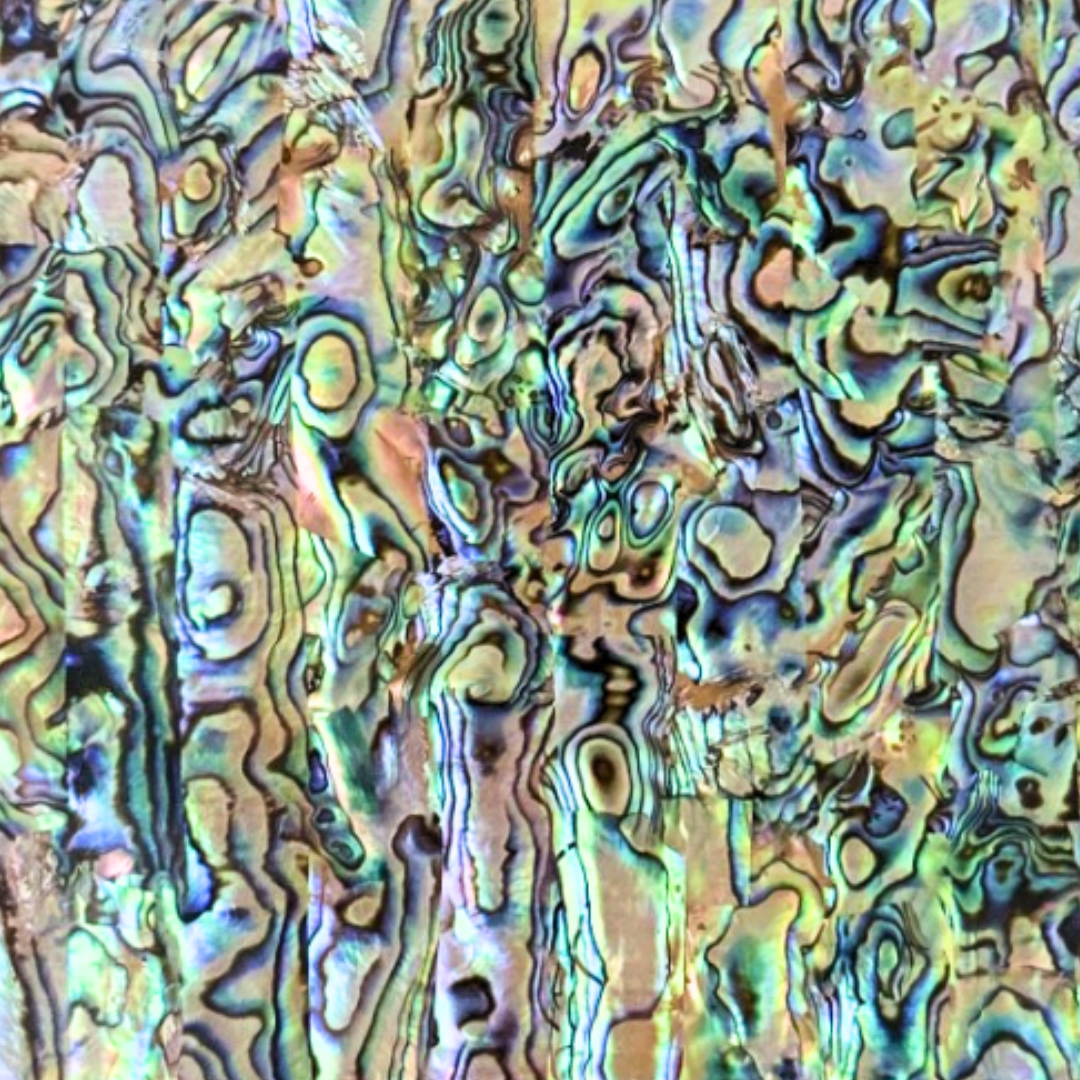 Abalone, Paua Dark Veneer, 5.5 @ seppleaf.com